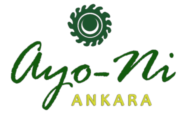Ayo-Ni Ankara